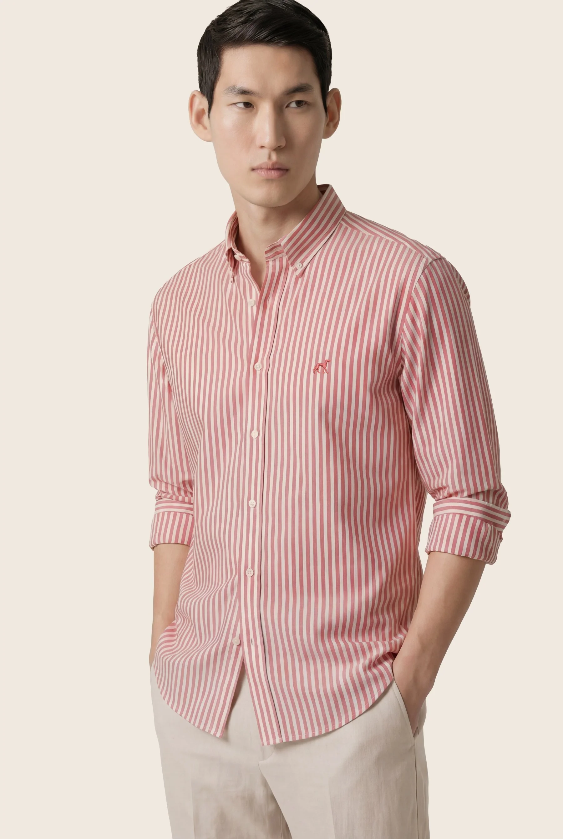 Calças casuais em algodão e elastano, regular fit - Image 39