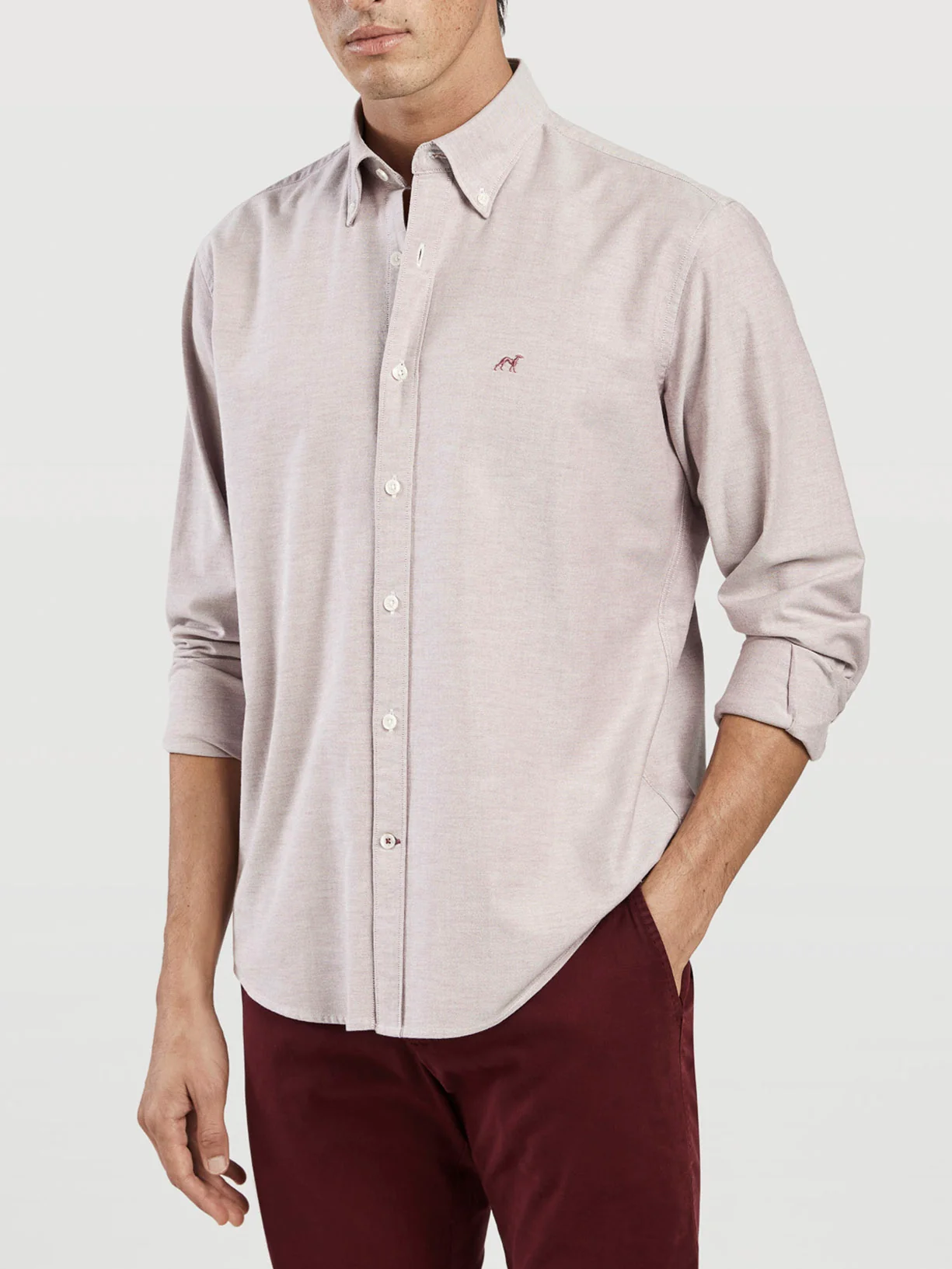 Camisa regular fit oxford liso 100%algodão bci