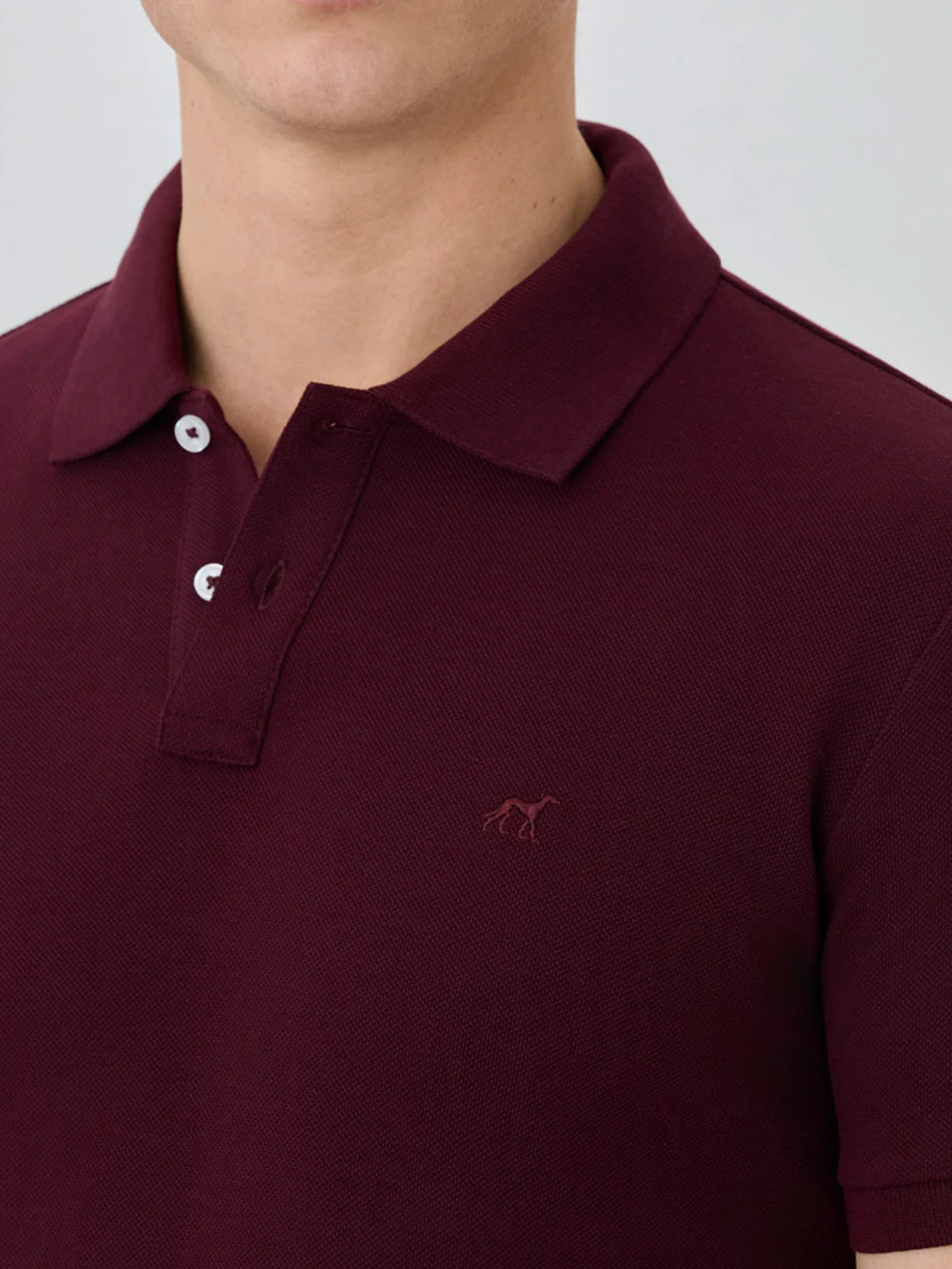 Polo Piqué Slim Fit Com Logo Bordado Em Algodão Bci - Image 45