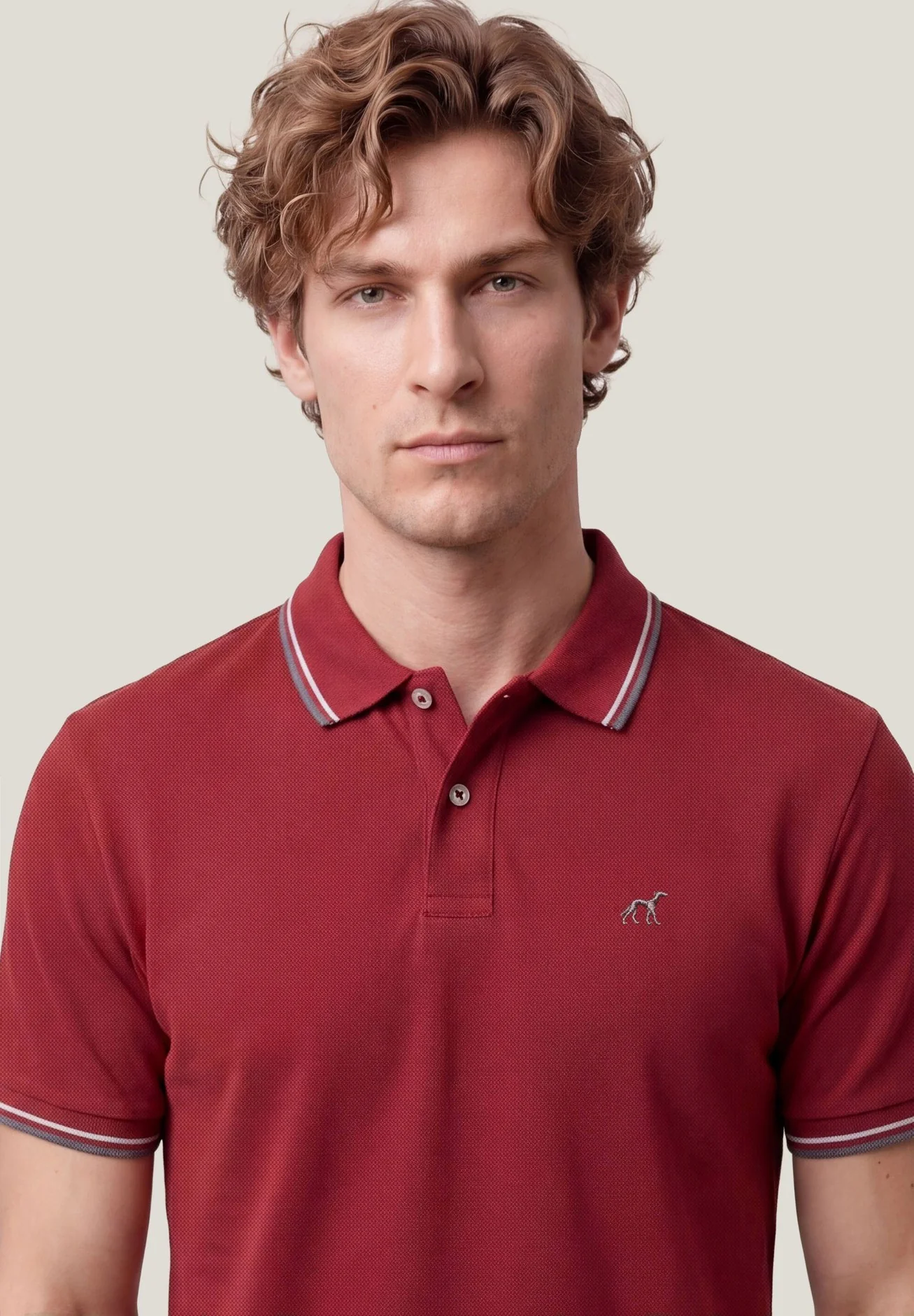 Polo Regular Fit Em Piqué Stretch Com Detalhes De Riscas Contrastantes - Image 6
